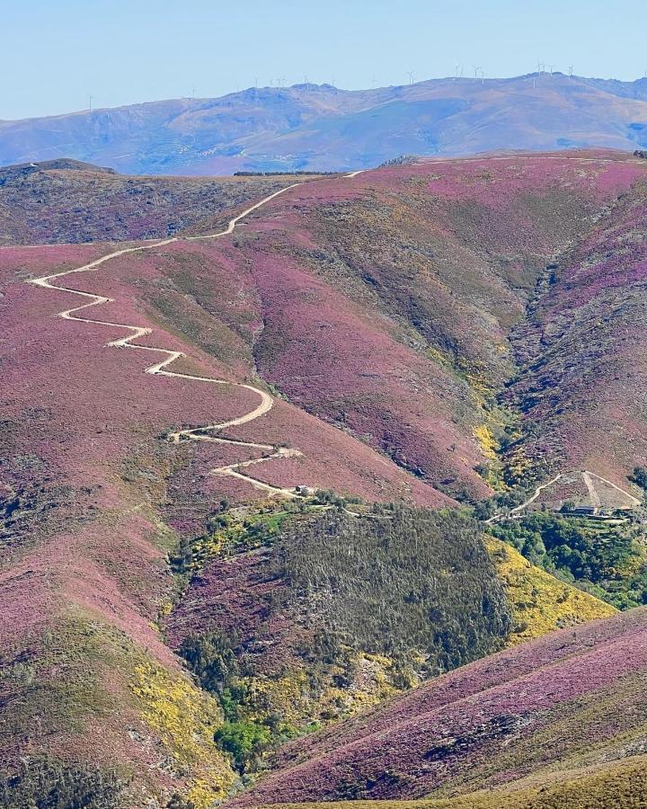 아로카 O Refugio Do Mineiro 아파트 외부 사진